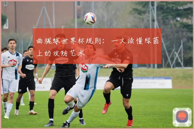 曲棍球世界杯规则：一文读懂绿茵上的攻防艺术