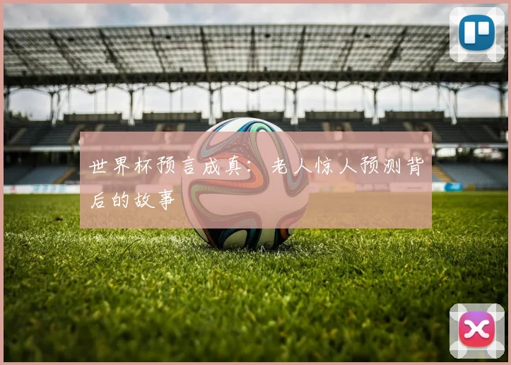 世界杯预言成真:老人惊人预测背后的故事