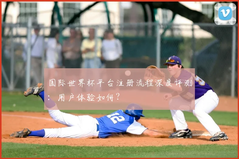 国际世界杯平台注册流程深度评测：用户体验如何？