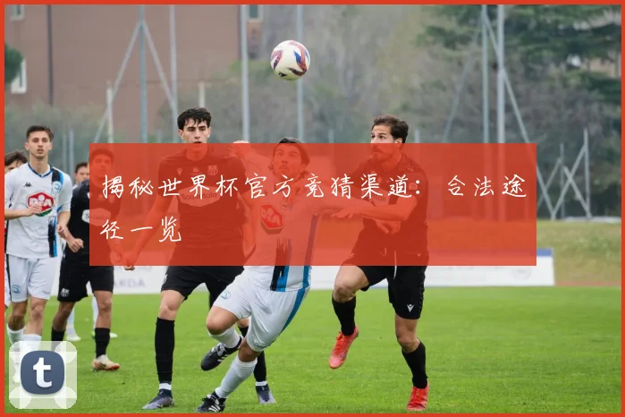 揭秘世界杯官方竞猜渠道：合法途径一览