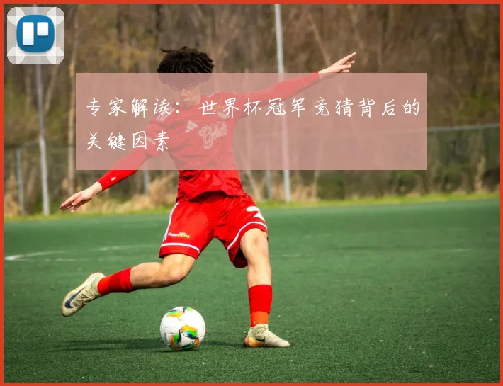 专家解读:世界杯冠军竞猜背后的关键因素