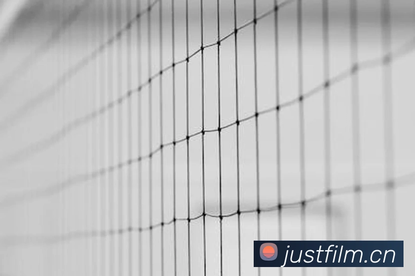 华体会app官网登录入口平台生态图