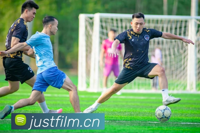 数据防护可视化